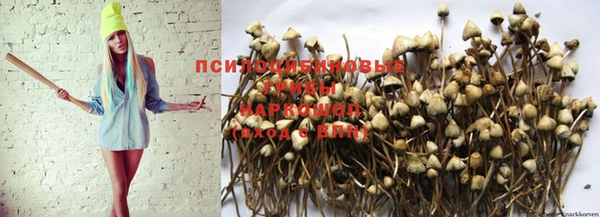 мефедрон Нефтекумск