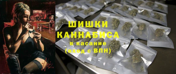 МДПВ Нефтегорск