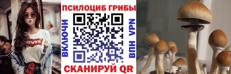 Галлюциногенные грибы мухоморы  Льгов 